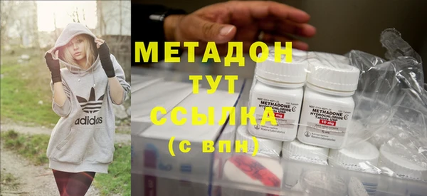 прущие грибы Куйбышев
