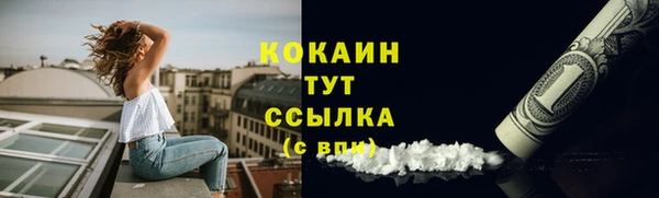 прущие крисы Кулебаки