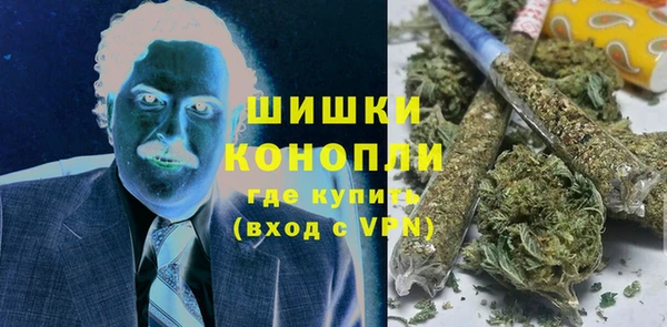 прущие грибы Куйбышев