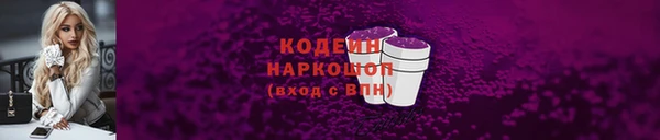 прущие грибы Куйбышев