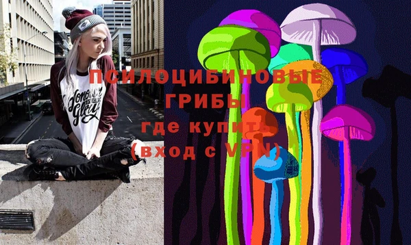 прущие грибы Куйбышев