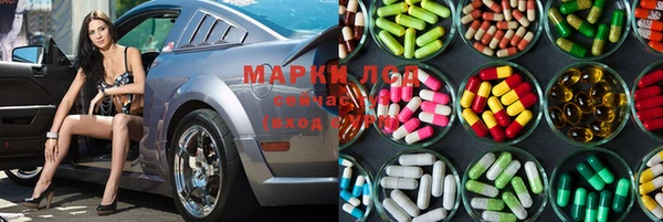 прущие грибы Куйбышев