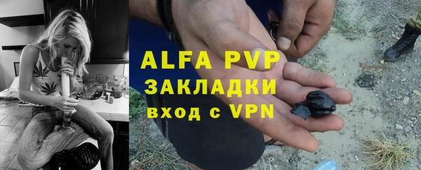 прущие грибы Куйбышев