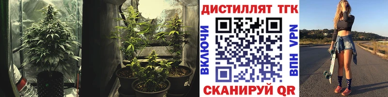 Дистиллят ТГК THC oil  Купить где  Шахунья 