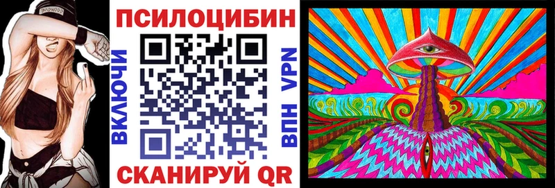 Купить где  Шахунья  Псилоцибиновые грибы мицелий 